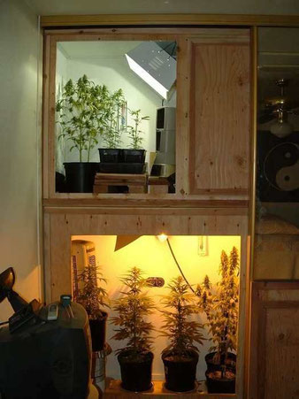 Ein Wandschrank als Grow Raum