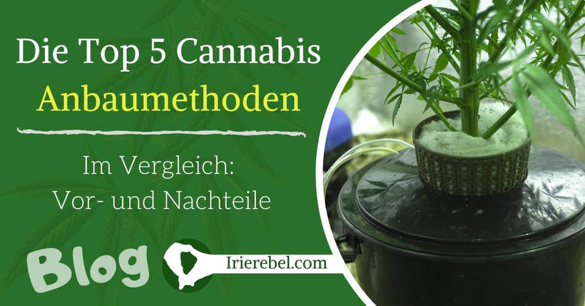 Die Top 5 Cannabis (Grow)-Anbaumethoden im Vergleich Vor- und Nachteile