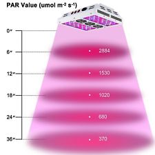 LED PAR