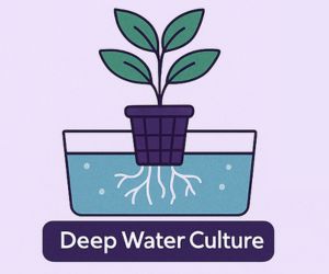 DWC