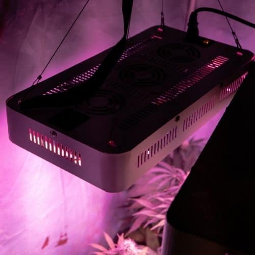 LED Growlampe Groß