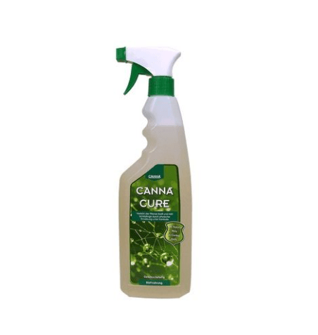 Canna Cure