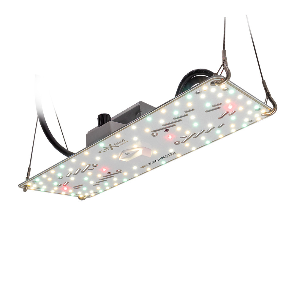 Bloomstar FLUXshield Habibi 150 by Crescience 54W