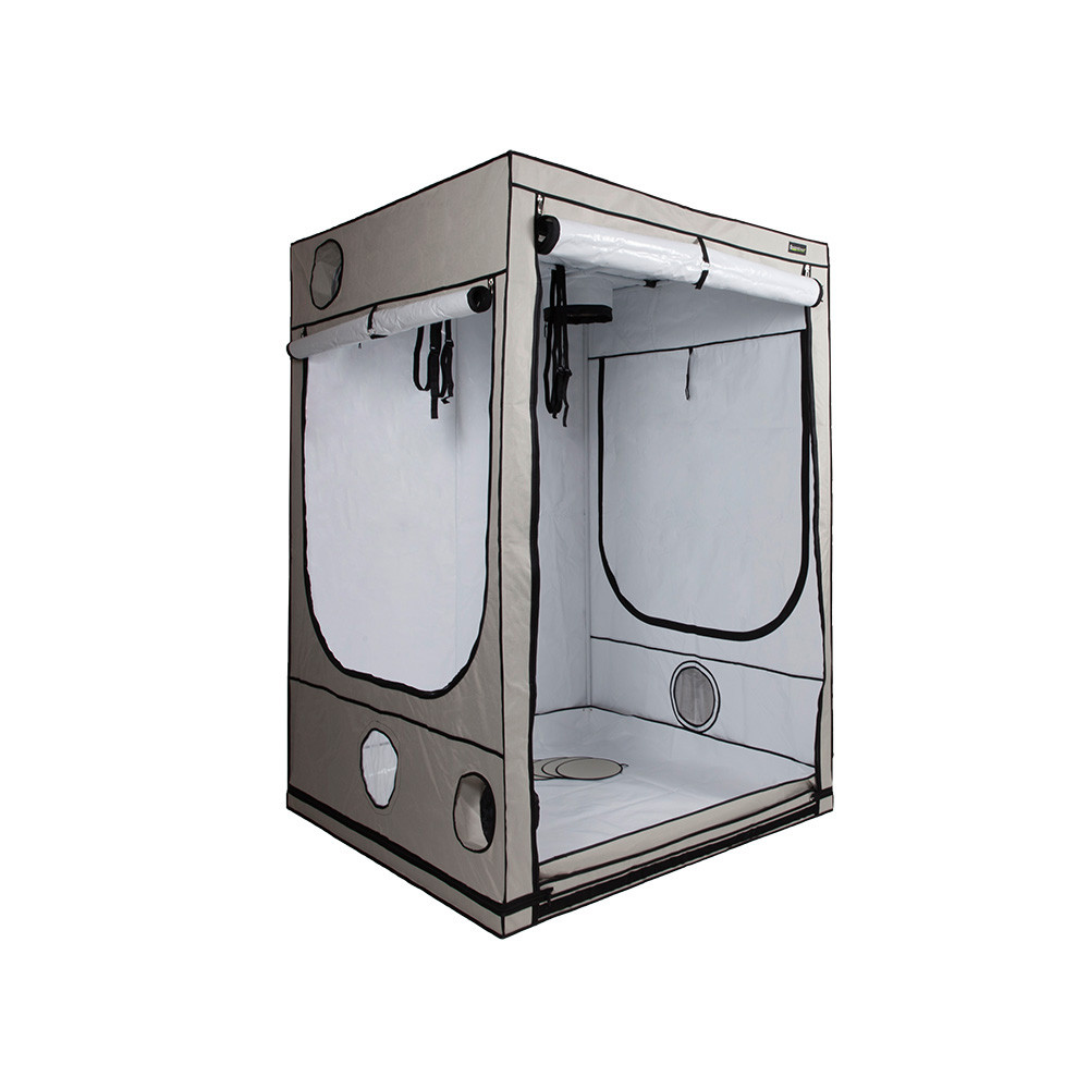 Homebox Ambient Q150+ (150x150x220cm)