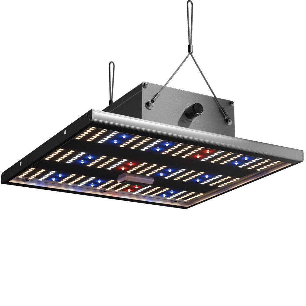 Caluma Force 75W LED 2,7 µmol/J